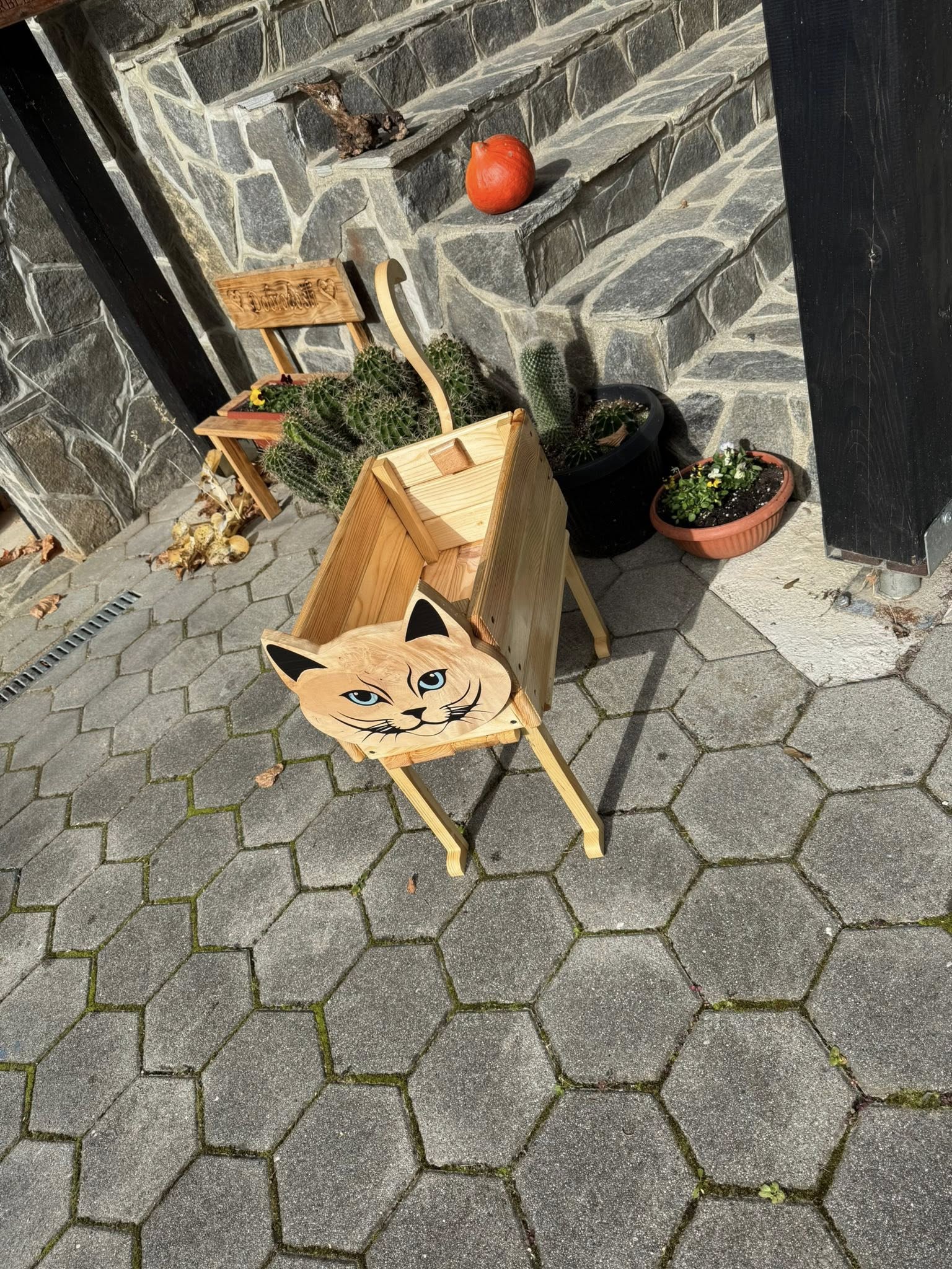 573365132_122146065878895932_4786892609499462613_n